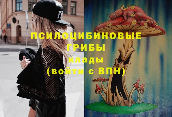 спайс Аркадак