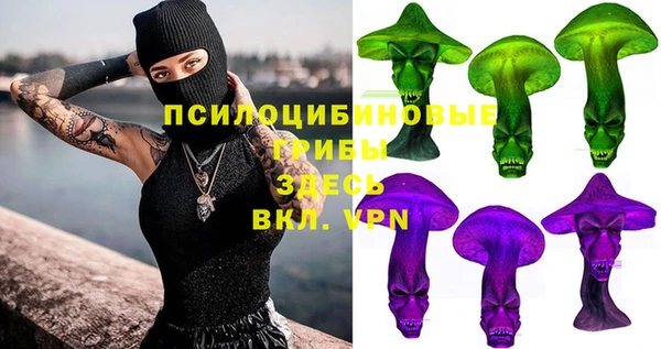 прущий лед Арсеньев