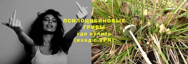 apvp Армянск