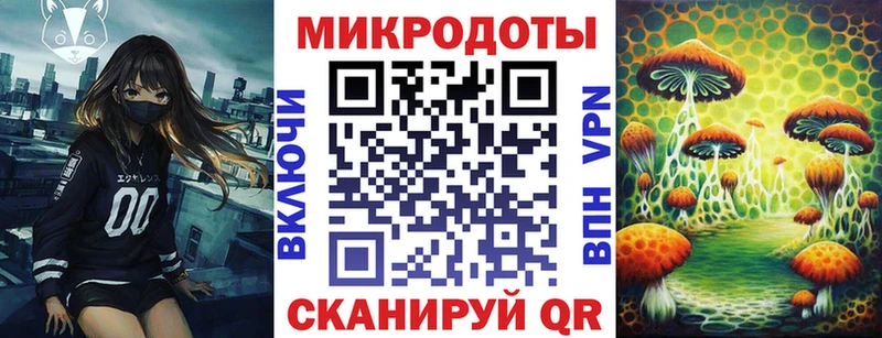 kraken сайт Новоалександровск Псилоцибиновые грибы Psilocybine cubensis